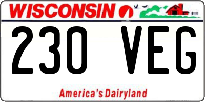 WI license plate 230VEG