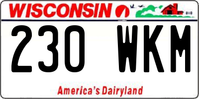 WI license plate 230WKM