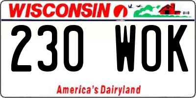WI license plate 230WOK