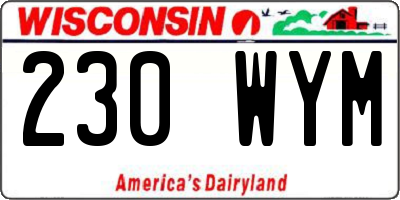 WI license plate 230WYM