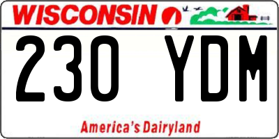 WI license plate 230YDM