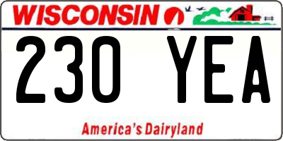 WI license plate 230YEA