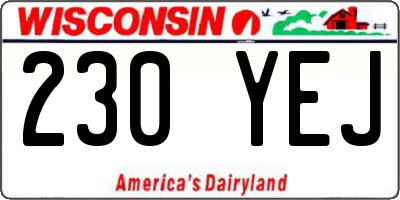 WI license plate 230YEJ