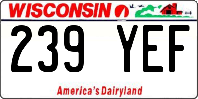 WI license plate 239YEF