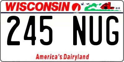 WI license plate 245NUG