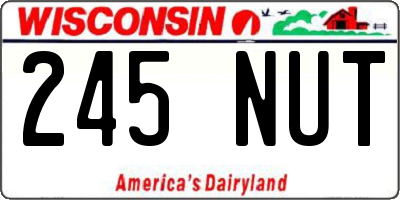 WI license plate 245NUT