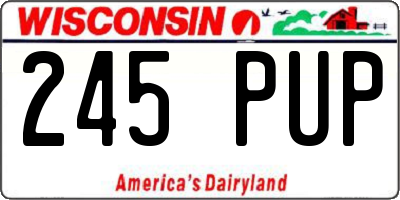 WI license plate 245PUP