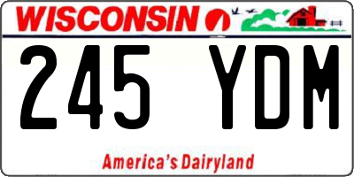 WI license plate 245YDM