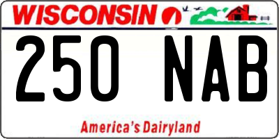 WI license plate 250NAB