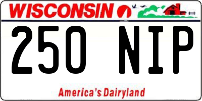 WI license plate 250NIP