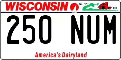 WI license plate 250NUM
