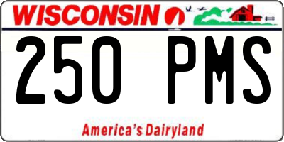 WI license plate 250PMS