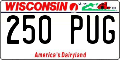 WI license plate 250PUG
