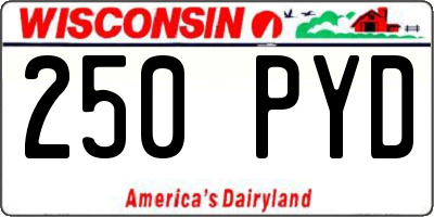 WI license plate 250PYD