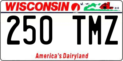 WI license plate 250TMZ