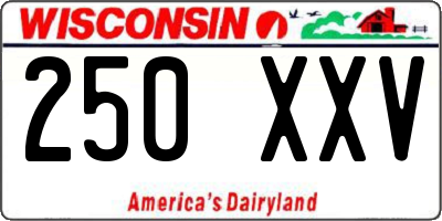 WI license plate 250XXV