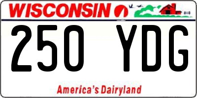 WI license plate 250YDG
