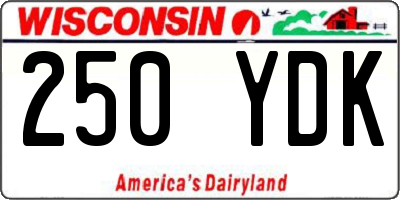WI license plate 250YDK