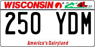 WI license plate 250YDM