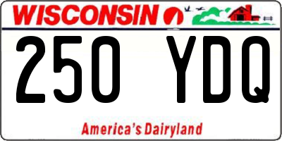 WI license plate 250YDQ