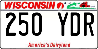 WI license plate 250YDR