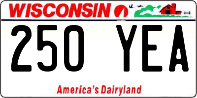 WI license plate 250YEA