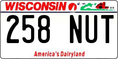 WI license plate 258NUT