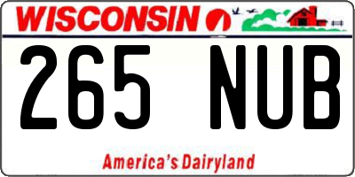 WI license plate 265NUB