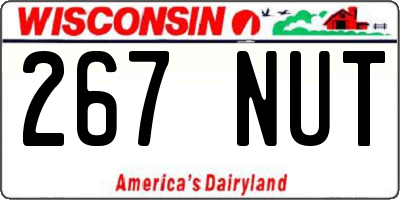 WI license plate 267NUT
