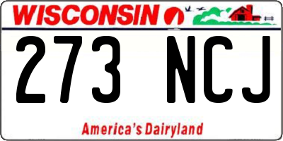 WI license plate 273NCJ
