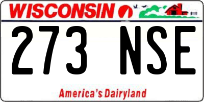 WI license plate 273NSE