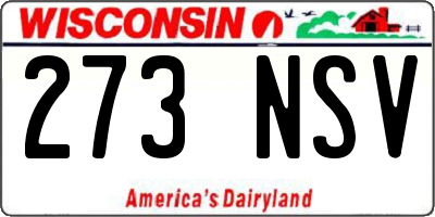WI license plate 273NSV
