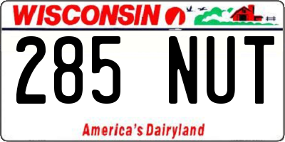 WI license plate 285NUT