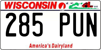 WI license plate 285PUN