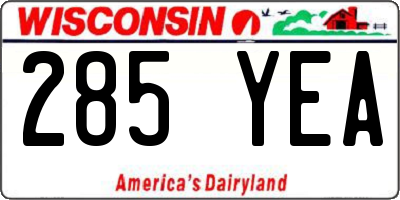 WI license plate 285YEA