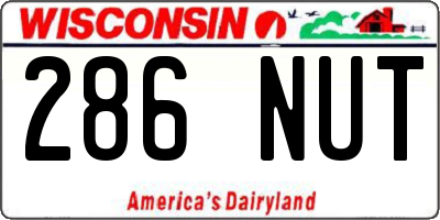 WI license plate 286NUT