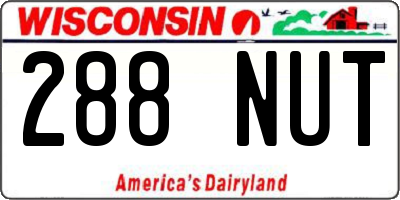 WI license plate 288NUT