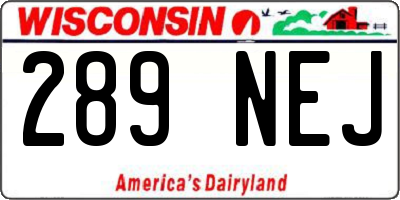 WI license plate 289NEJ