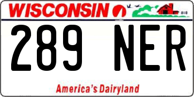 WI license plate 289NER