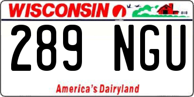 WI license plate 289NGU
