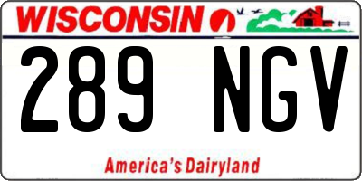 WI license plate 289NGV