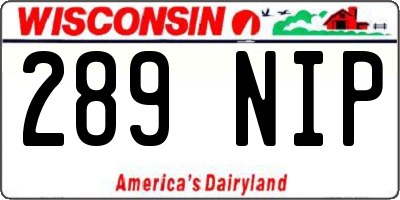 WI license plate 289NIP