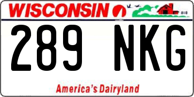 WI license plate 289NKG