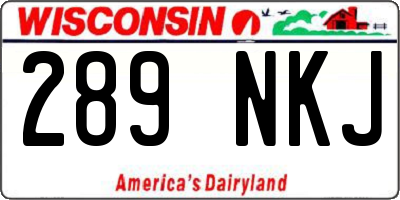 WI license plate 289NKJ