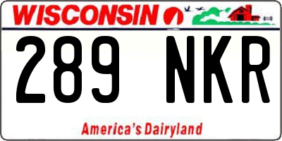 WI license plate 289NKR