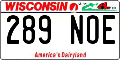 WI license plate 289NOE