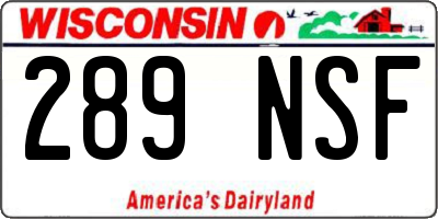 WI license plate 289NSF