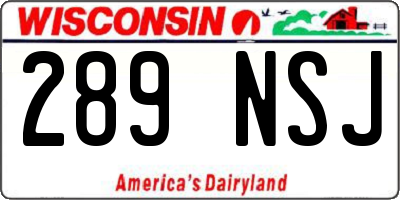 WI license plate 289NSJ