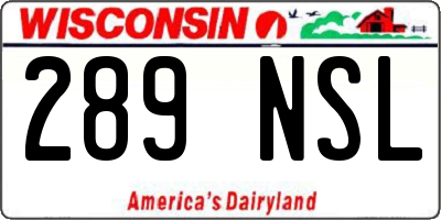 WI license plate 289NSL
