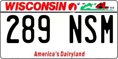 WI license plate 289NSM